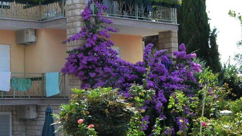 מדולין Villa Bencun מראה חיצוני תמונה